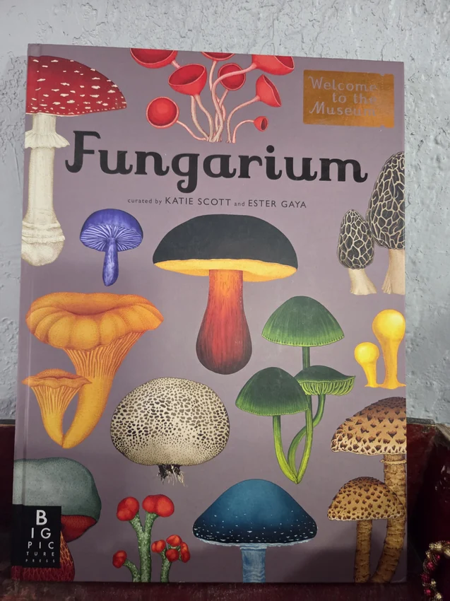 The illustrated Fungarium book in the shop