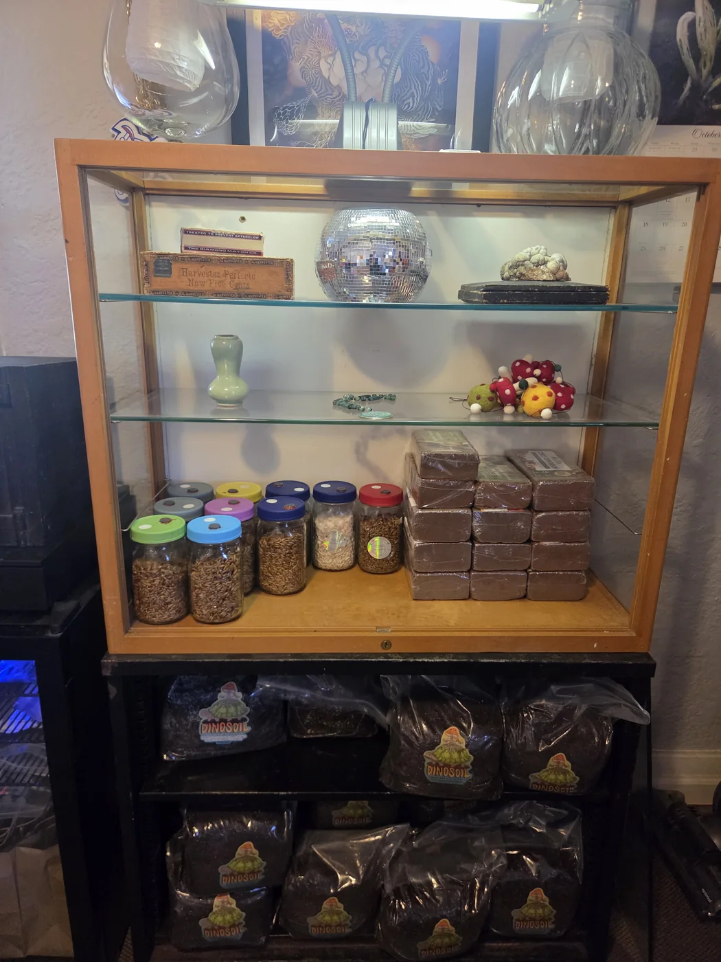 Display cabinets inside the Denver Myco Market shop